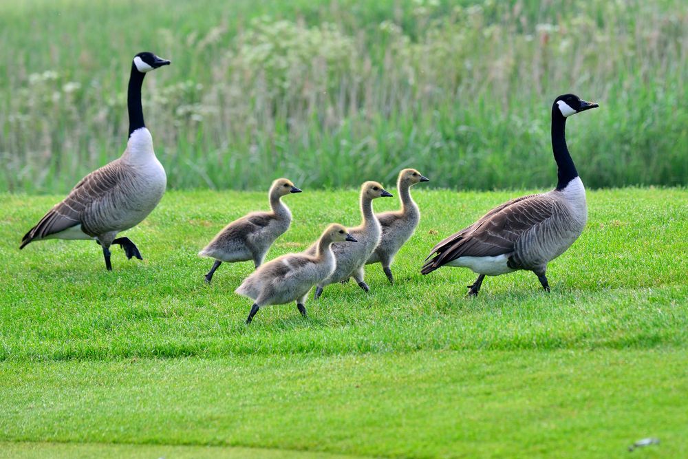 Familien Ausflug