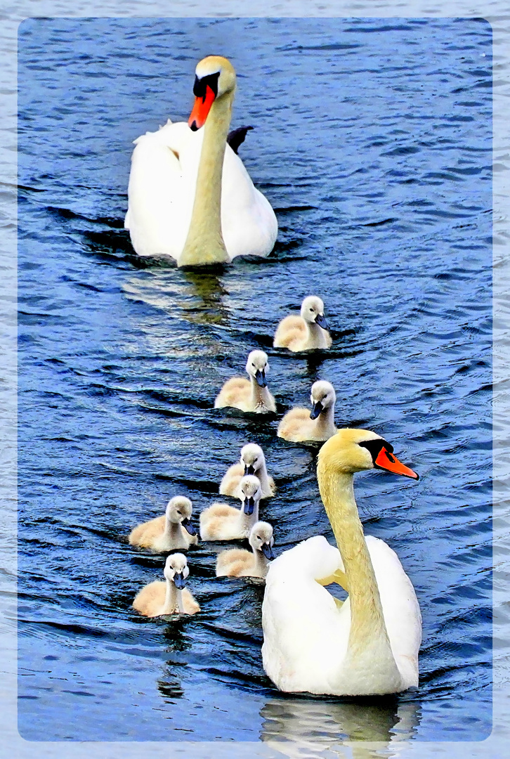 Familien-Ausflug