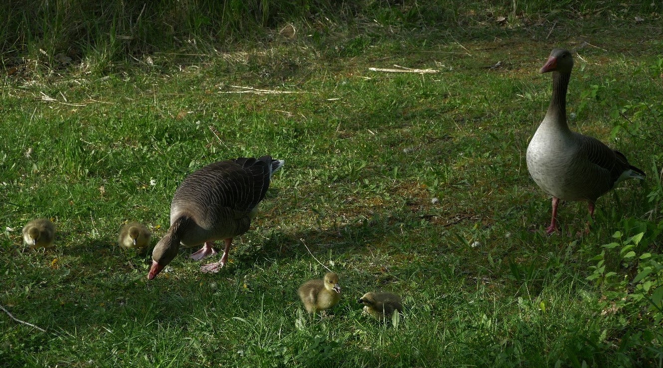 Familien-Ausflug