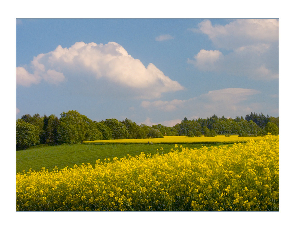 Familien- Ausflug...