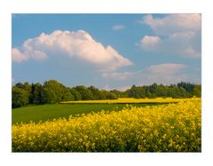 Familien- Ausflug...