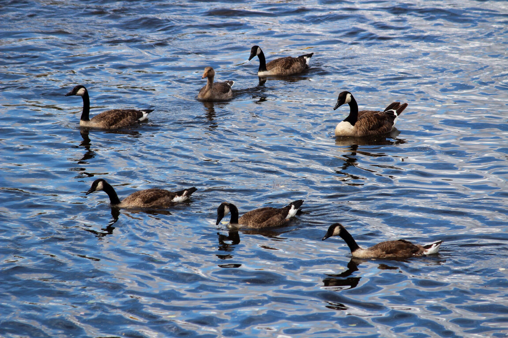 ...Familien Ausflug