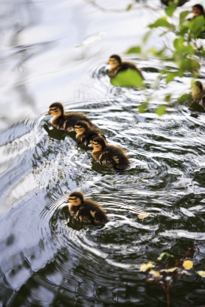 Familien Ausflug ...