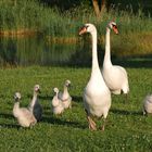 FAMILIEN -Ausflug