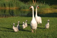 FAMILIEN -Ausflug