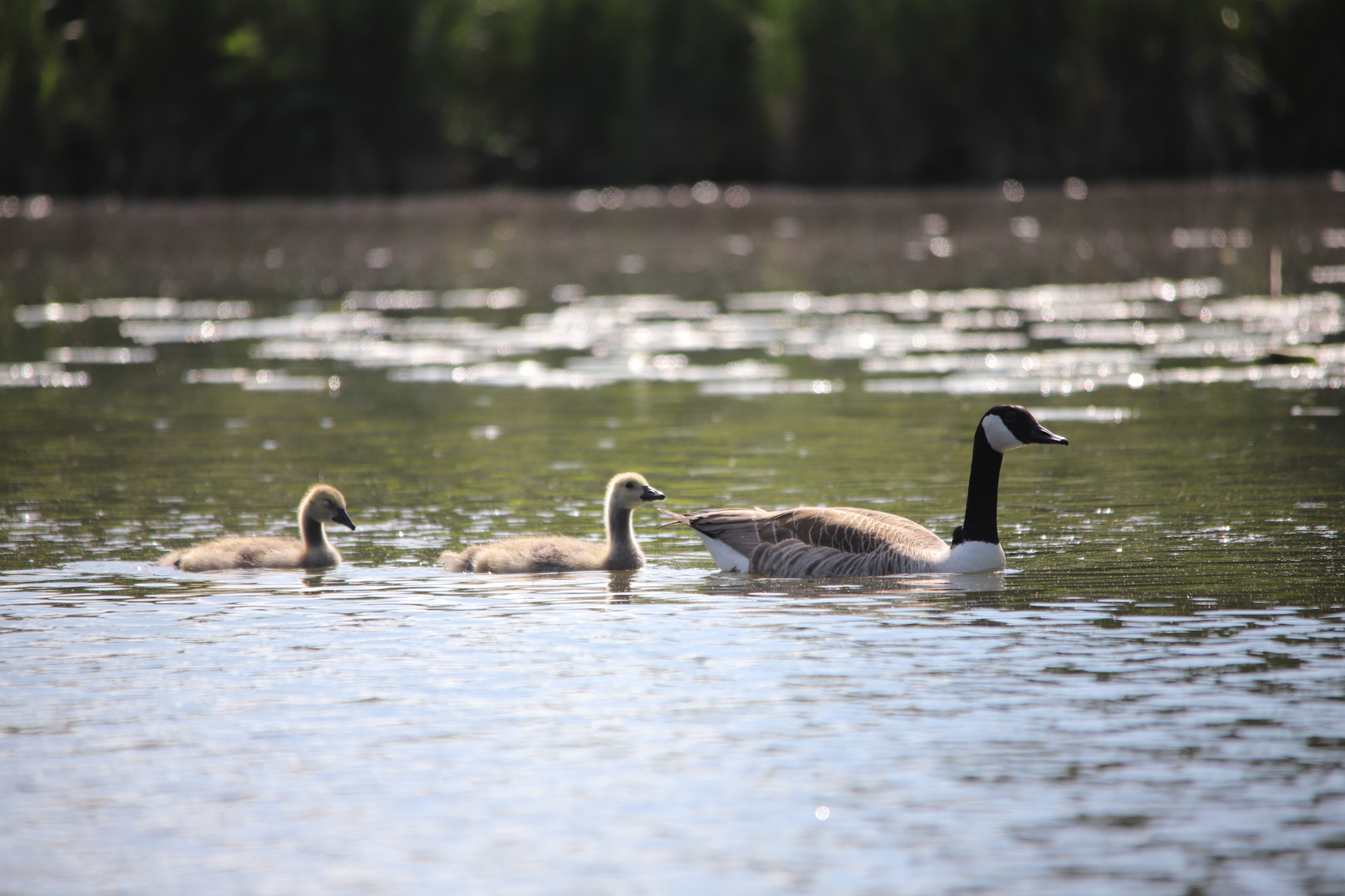 Familien Ausflug