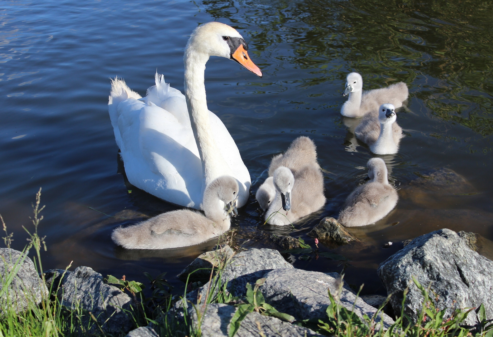 Familien Ausflug