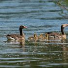 Familien Ausflug auf dem Rhein