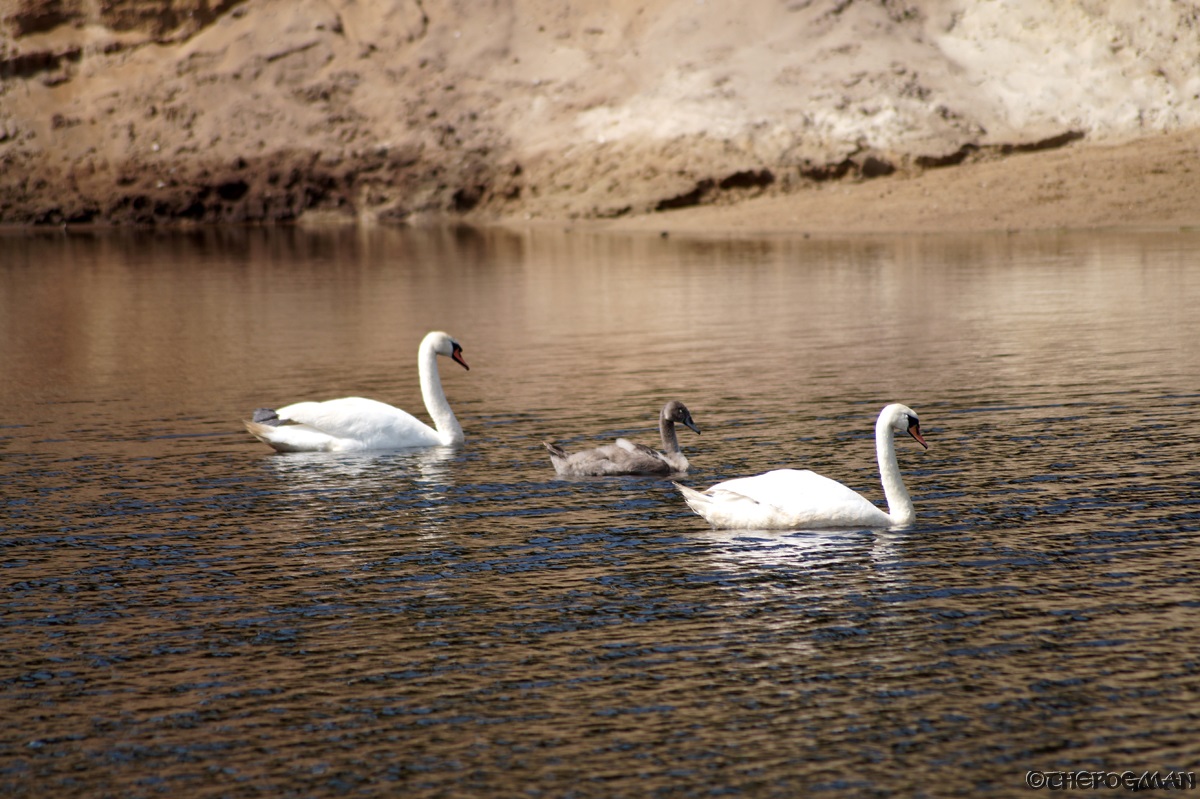 Familien Ausflug