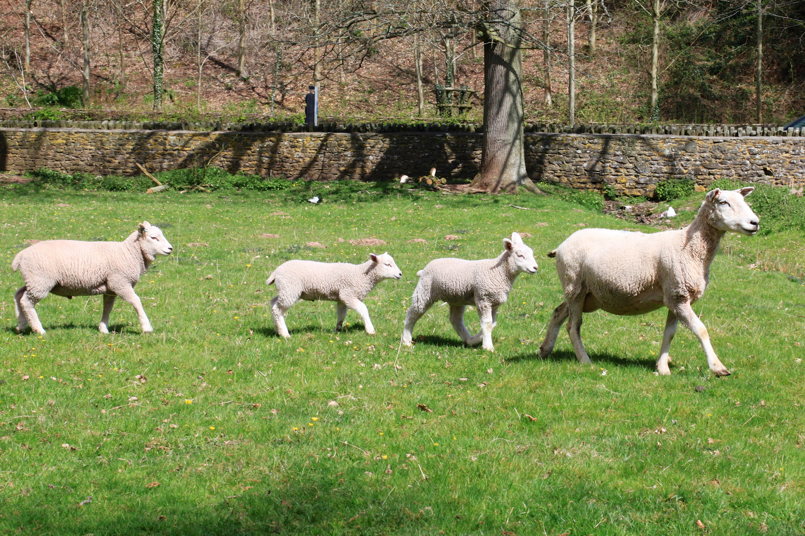 Familien Ausflug