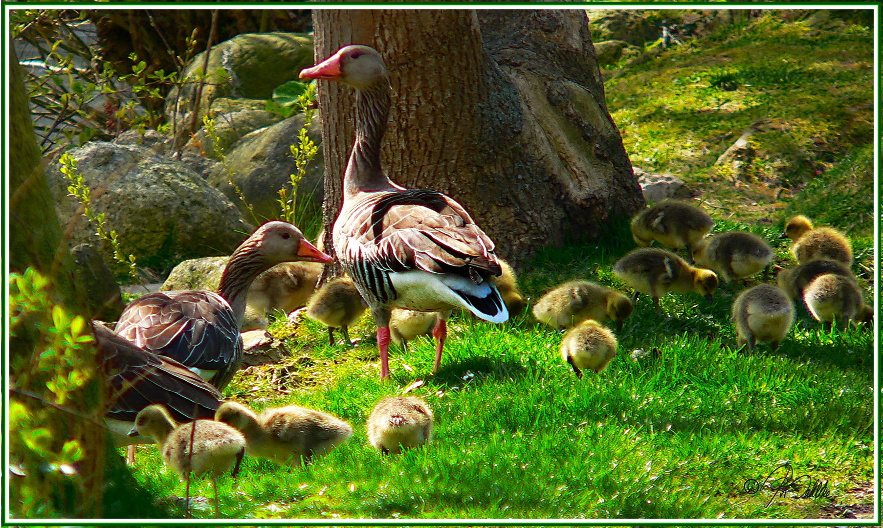 "Familien-Ausflug"