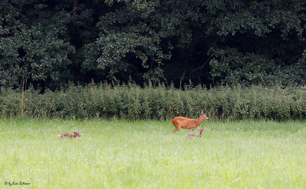 Familien Ausflug