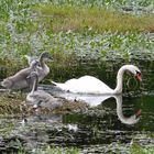 Familien Ausflug