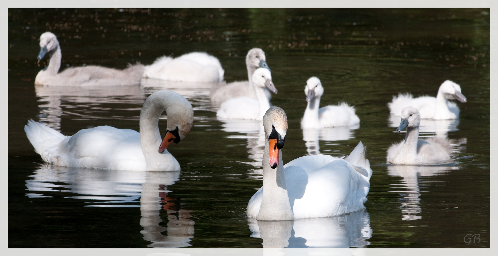 Familien - Ausflug!