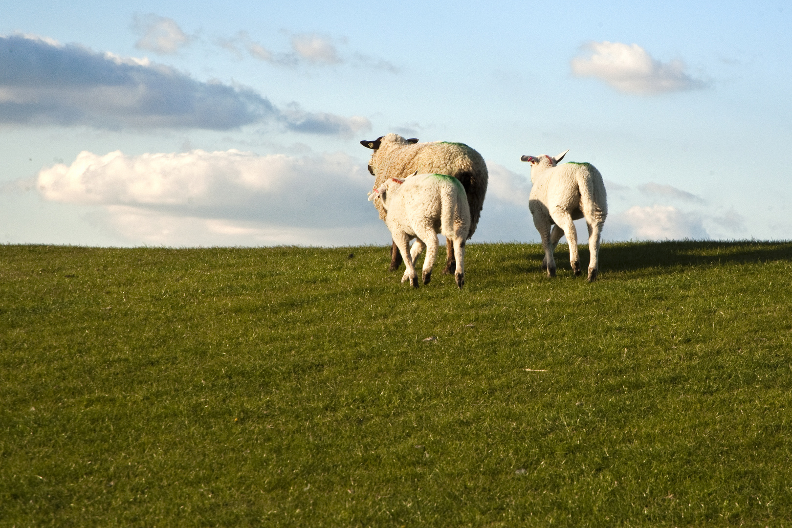 Familien Ausflug zum Horizont