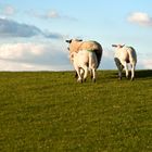 Familien Ausflug zum Horizont