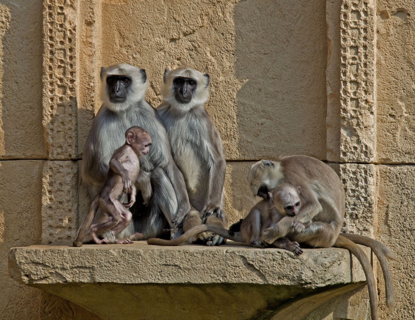 FAMILIEN-BANDE