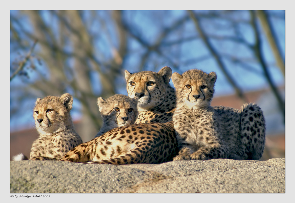 Familien-Felsen