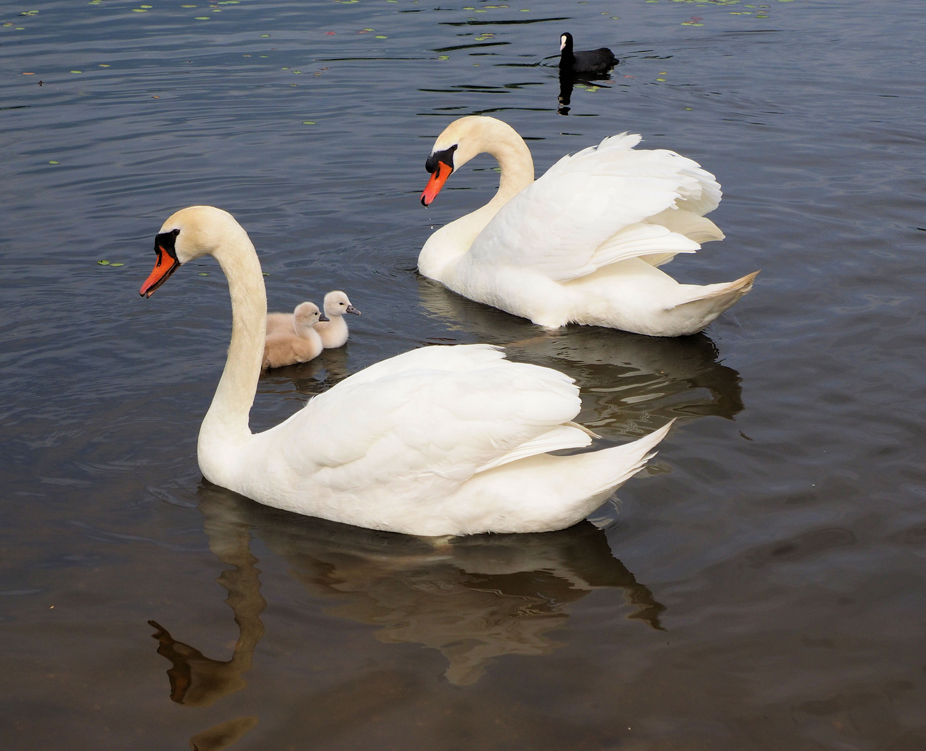 Familien Idylle ..