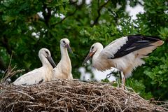 Familien-Idylle in Brandenburg