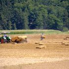 familien kleinbetrieb bei der ernte im hunsrück