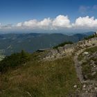 Familien-Panorama...