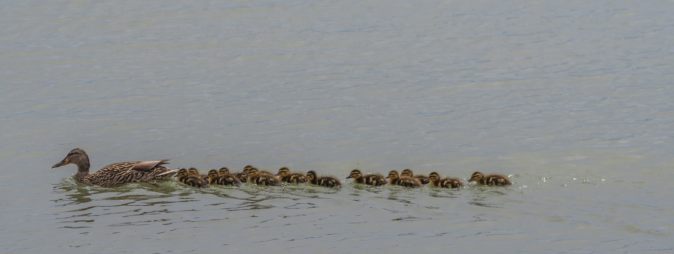 Familien Pfingstsonntag Ausflug