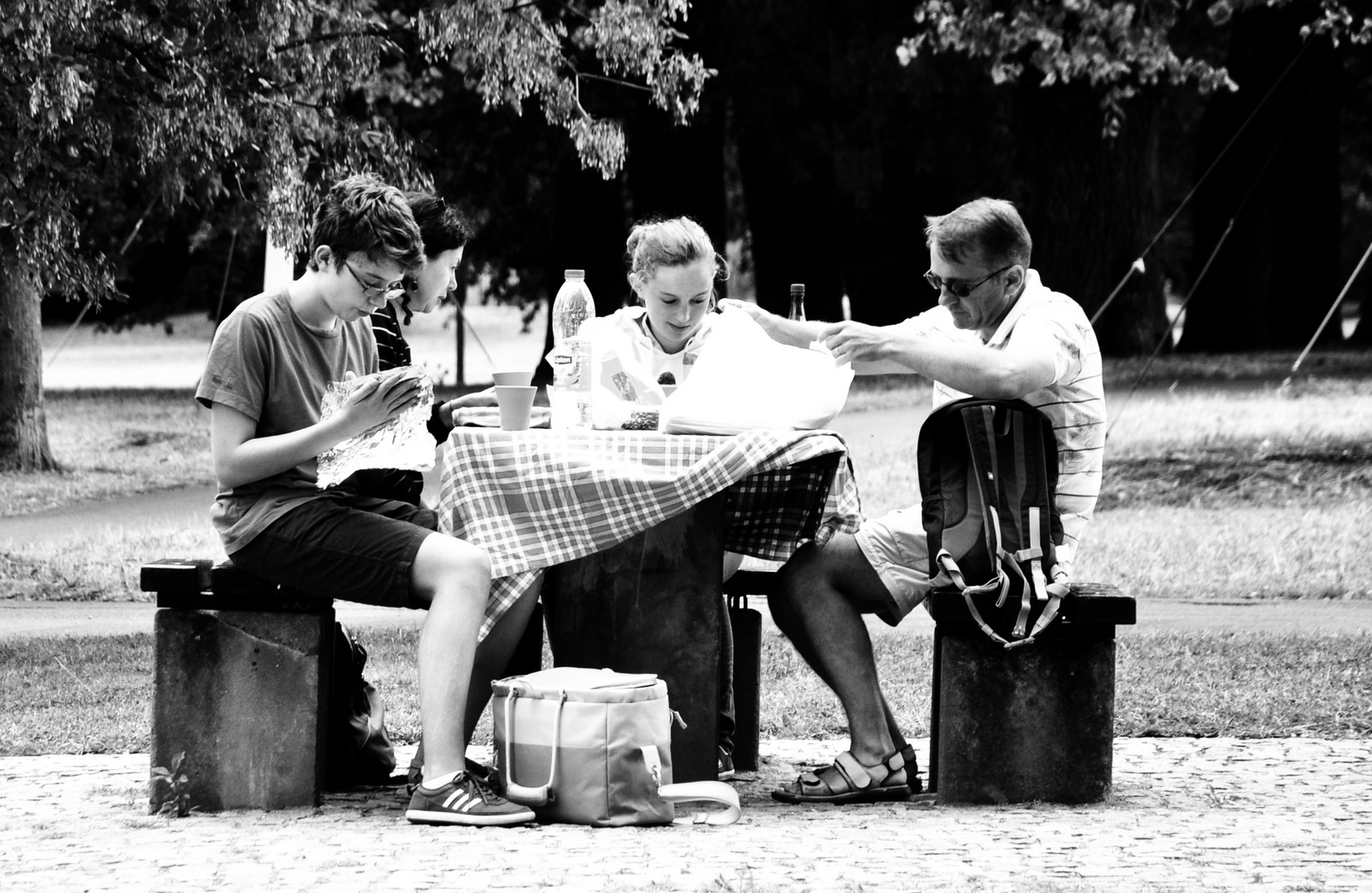 Familien Picnic im Park