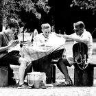 Familien Picnic im Park