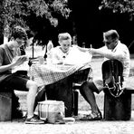 Familien Picnic im Park