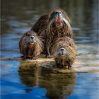 Familien Portrait