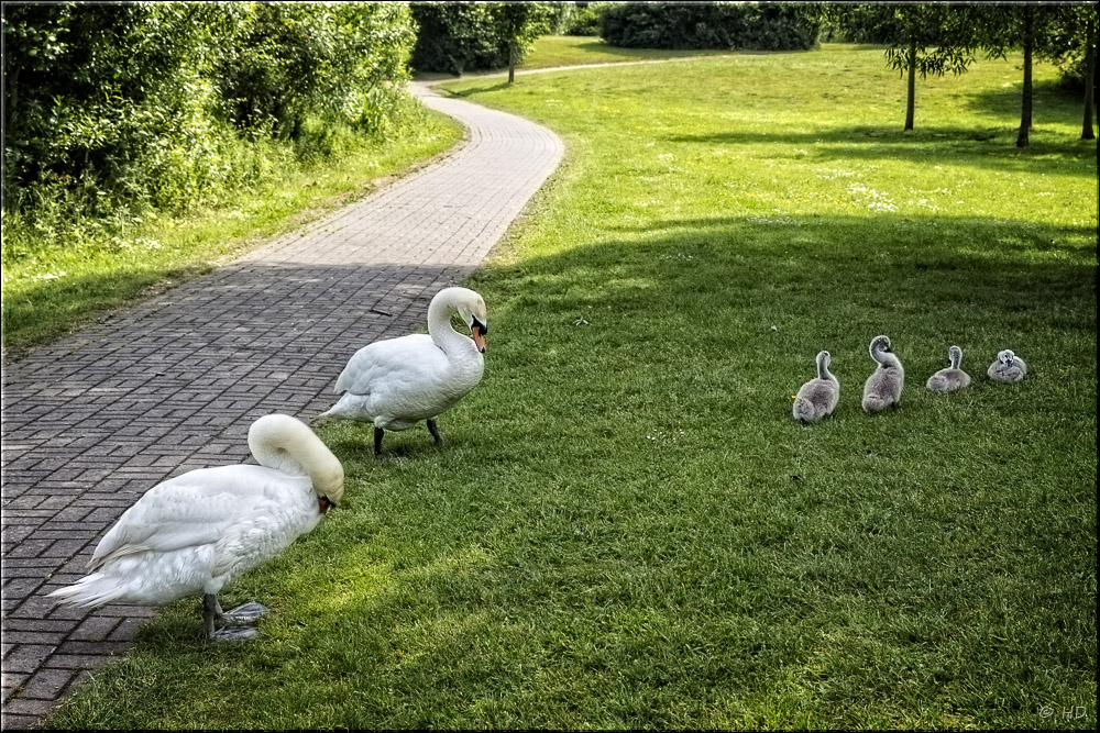 Familien-Putzstunde