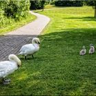 Familien-Putzstunde