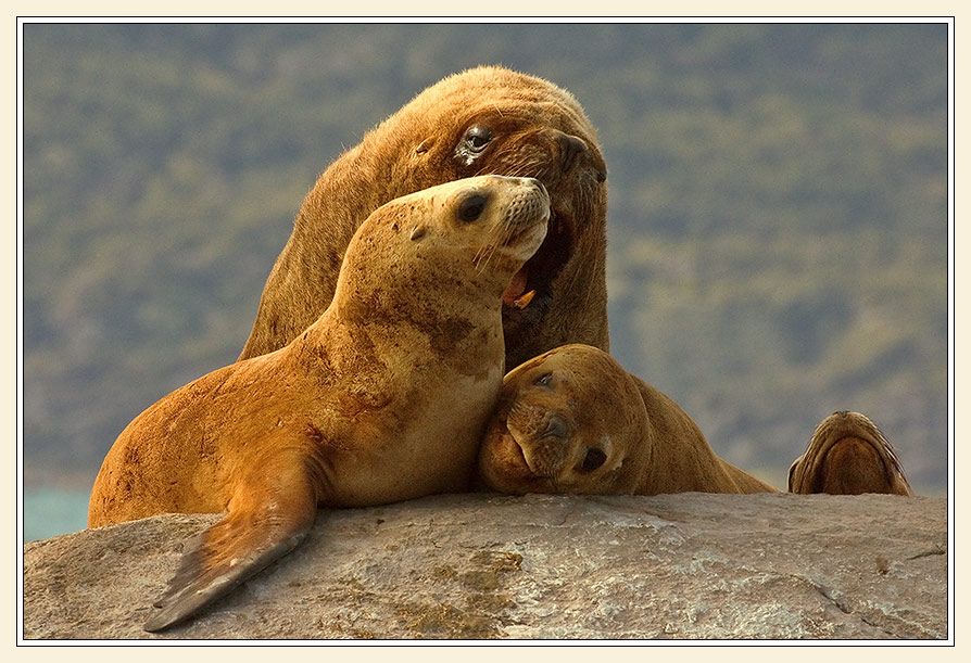 Familien-Urlaub