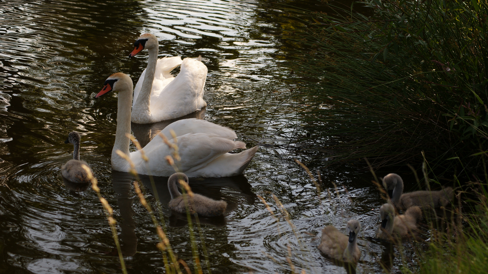 Familienausflug