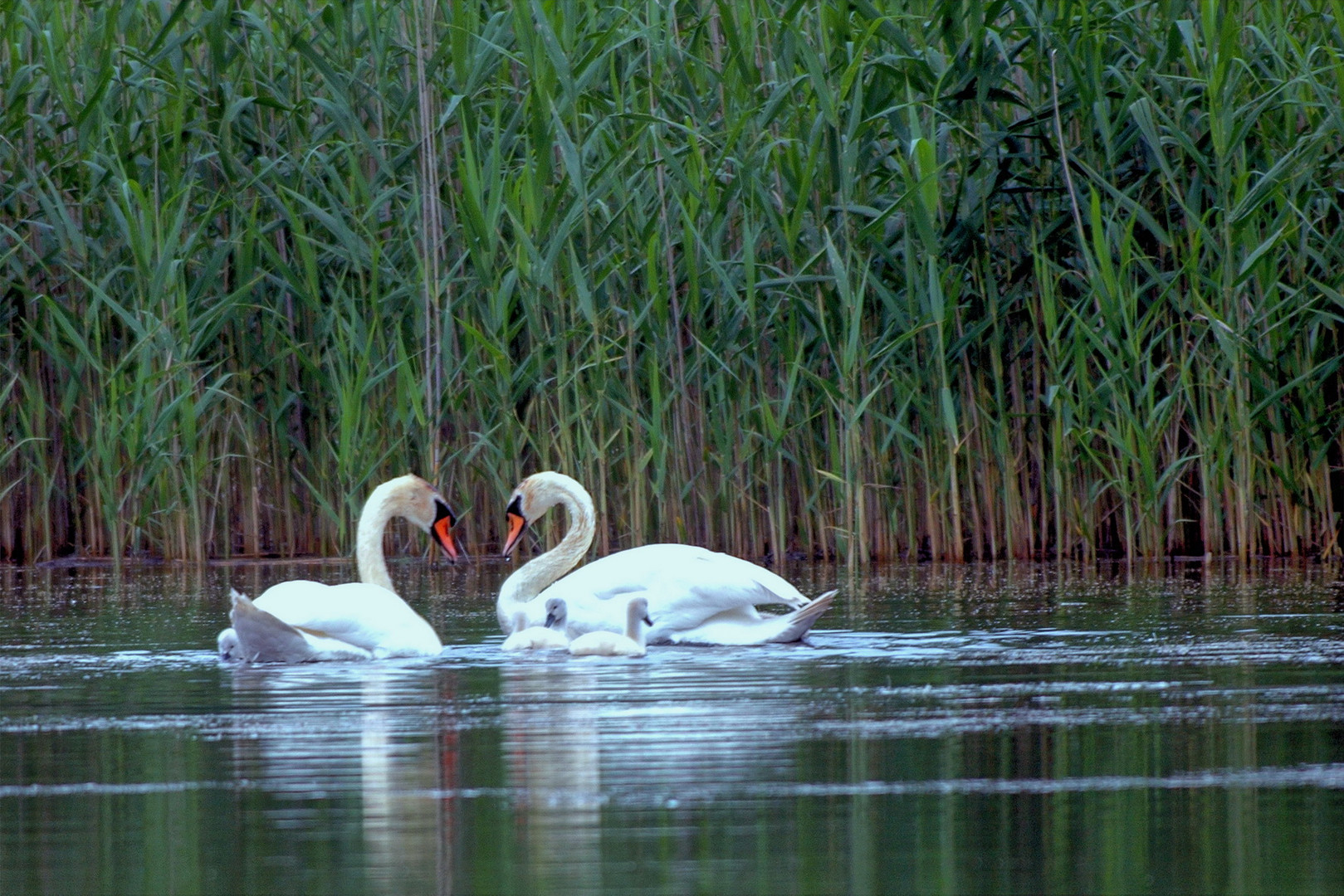 Familienausflug