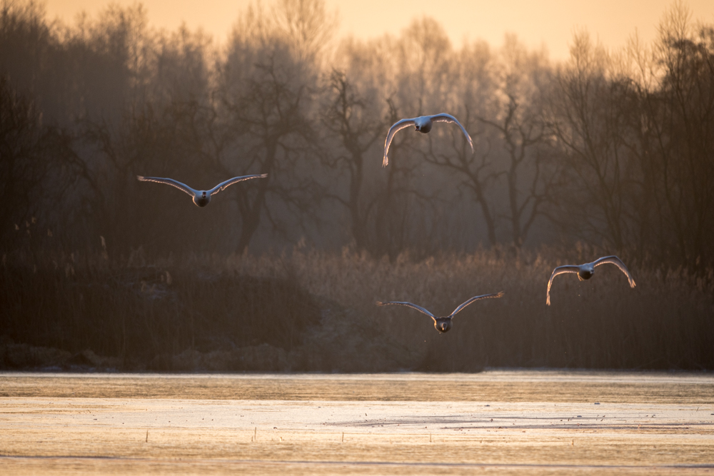 Familienausflug