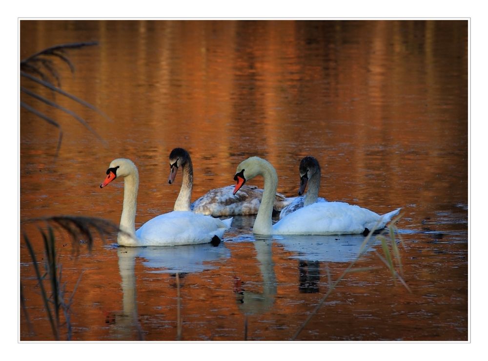 Familienausflug