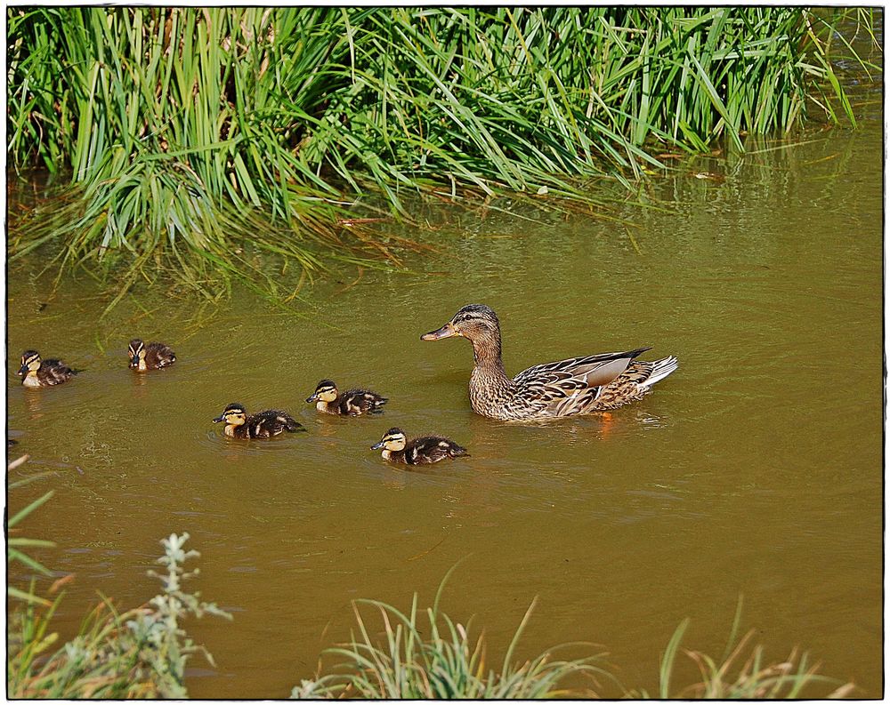 Familienausflug