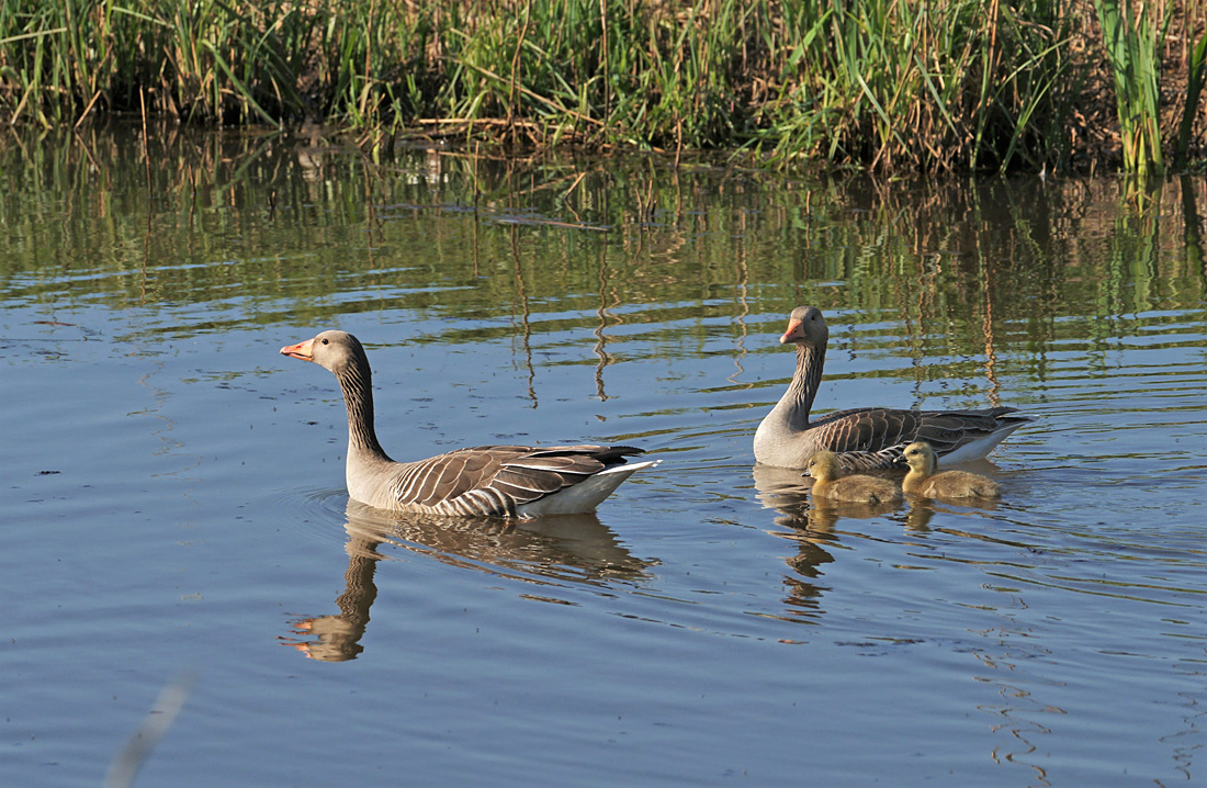 Familienausflug.