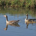 Familienausflug.