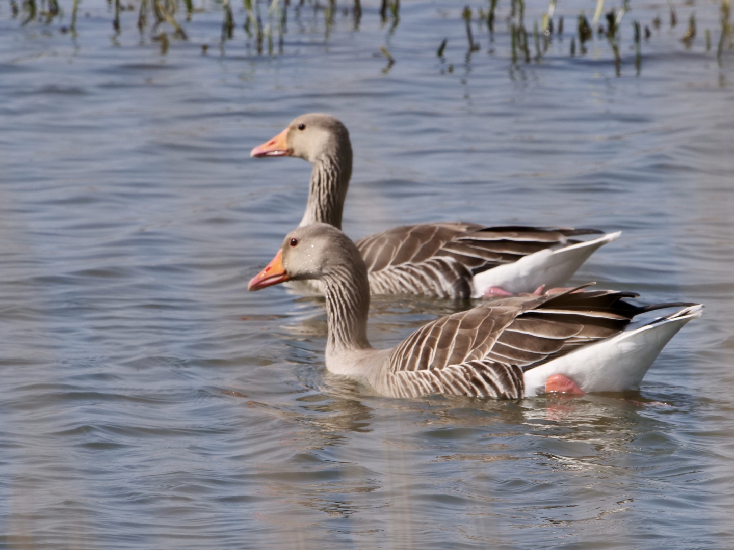 Familienausflug