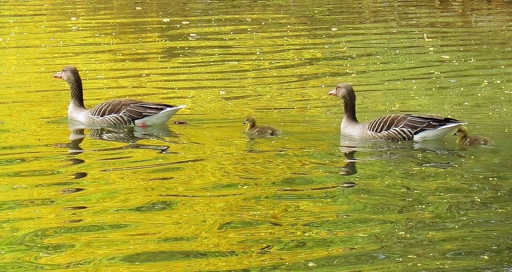 Familienausflug