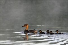 Familienausflug