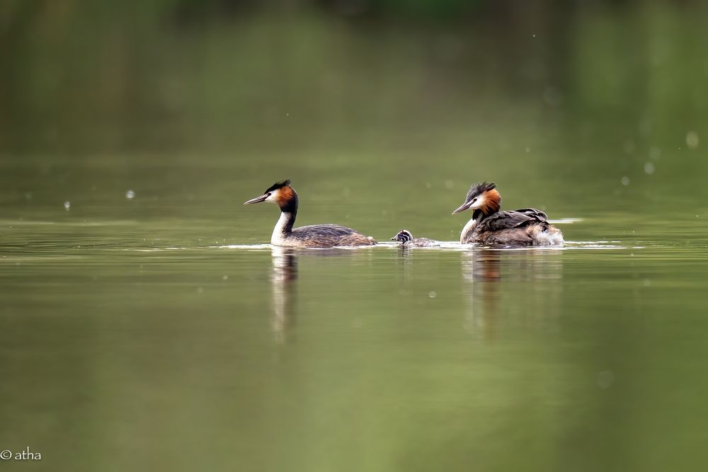 Familienausflug