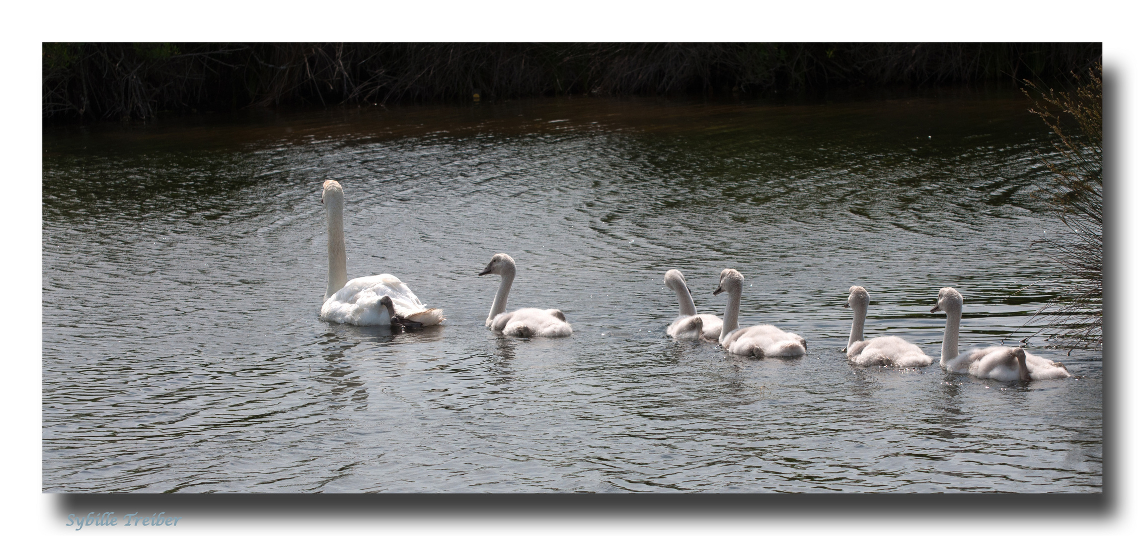 Familienausflug