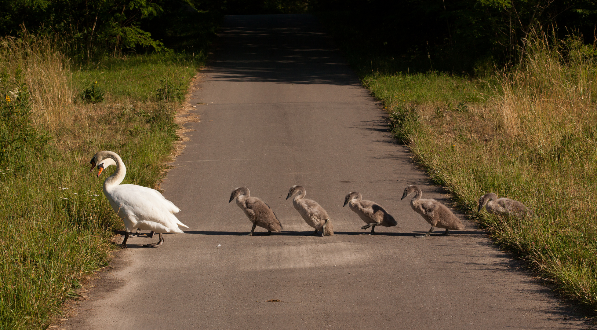 Familienausflug