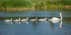 Familienausflug