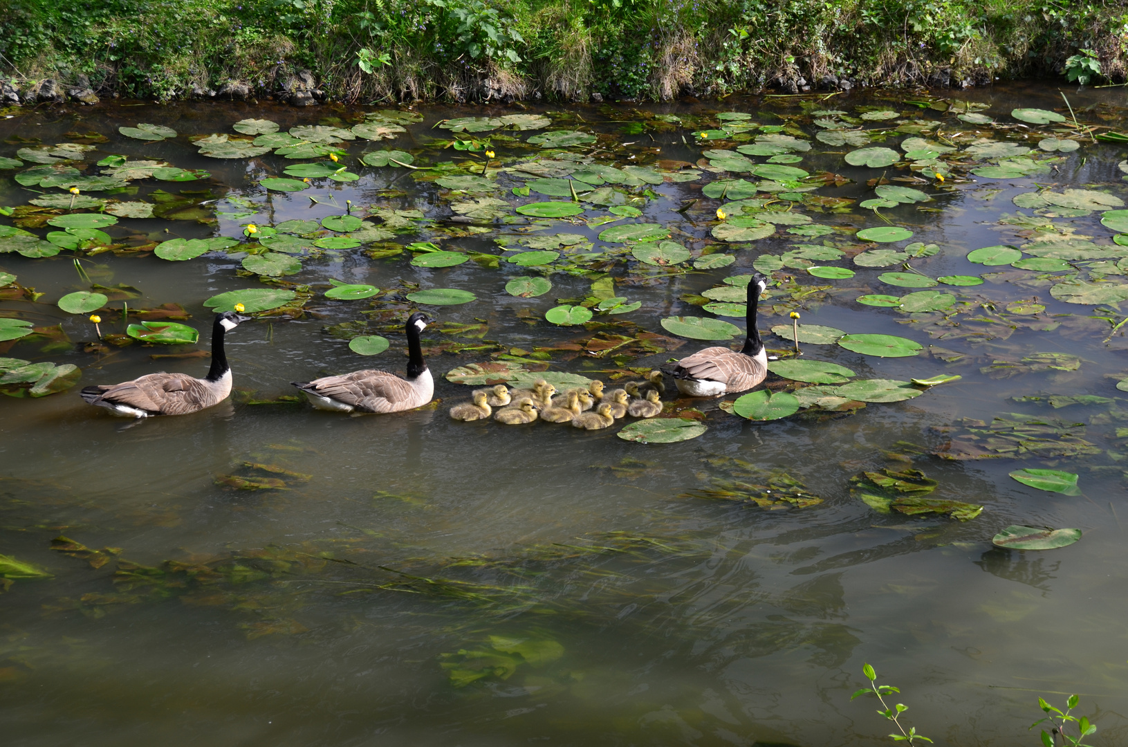 Familienausflug