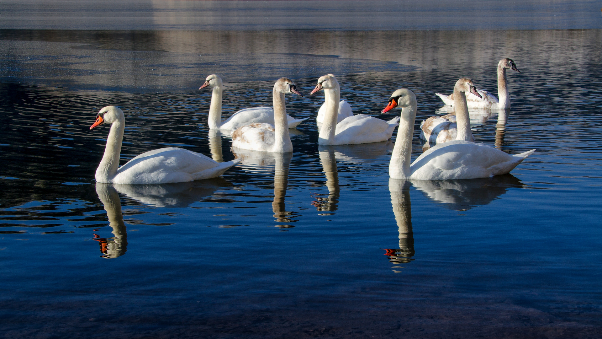 familienausflug